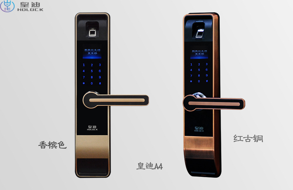 深圳指纹锁代理