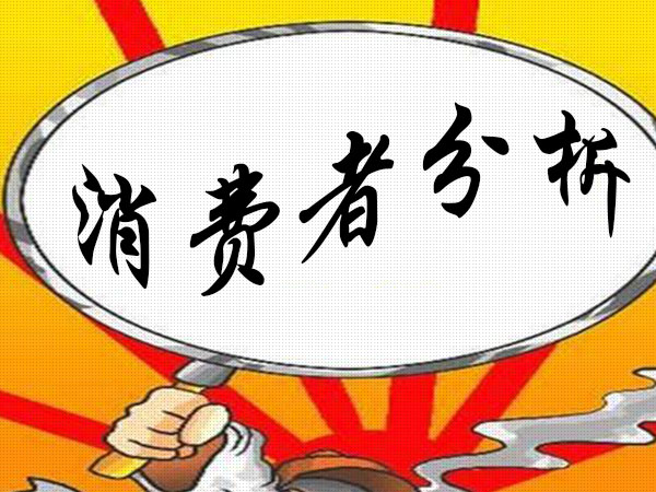 消费者分析